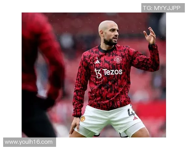 弗拉霍维奇的崛起与未来展望：如何成为足球界的新星